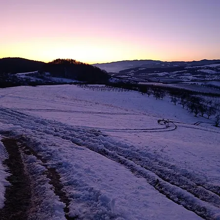Domek alpejski Gruszkowy Wzorek *