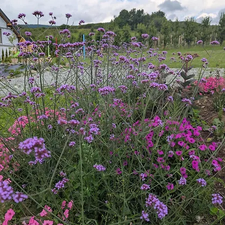 Domek alpejski Gruszkowy Wzorek *