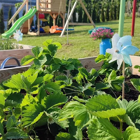 Gruszkowy Wzorek Domek alpejski *