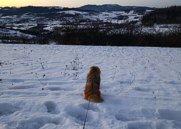 Domek alpejski Gruszkowy Wzorek *