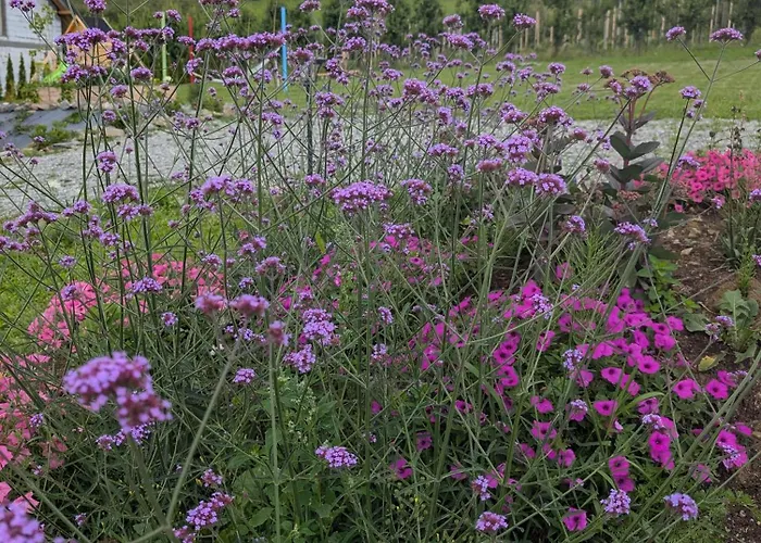 Domek alpejski Gruszkowy Wzorek *